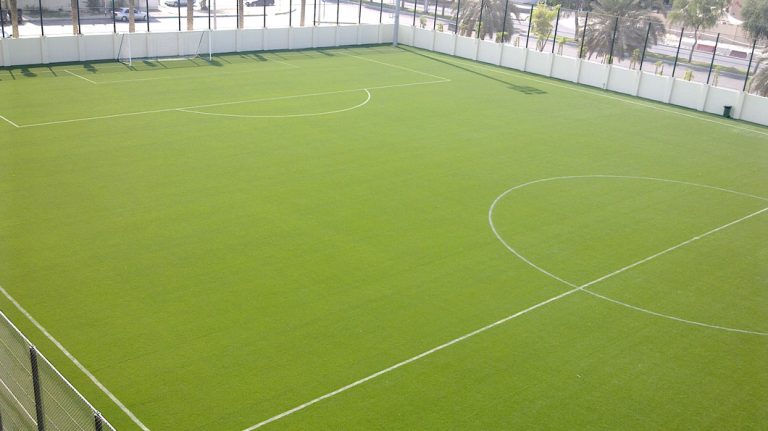 Cost Comparison: Natural Grass vs Artificial Grass Over 10 Years in the UAE