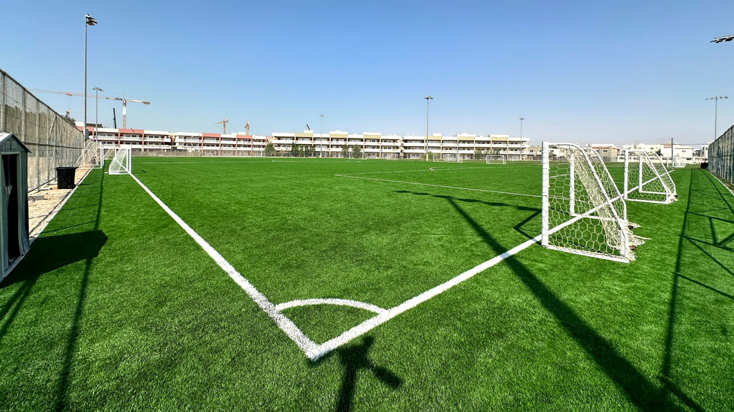Comparing Natural Grass vs Artificial Grass in UAE Climates: What You Need to Know