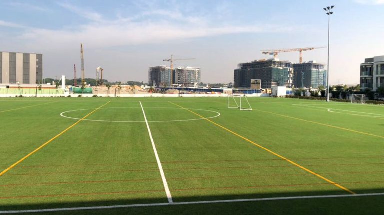 Artificial Grass