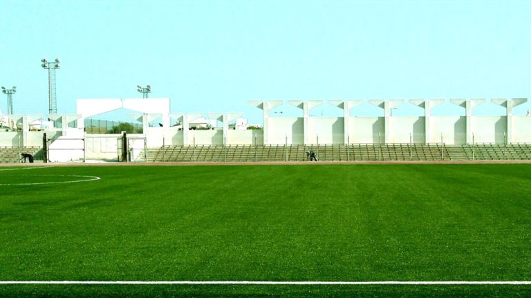 Artificial Grass